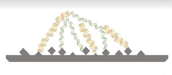 Protein-metal chemical reactions