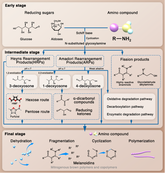 Protein reaction process